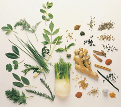 Medicinal Herbs To Enhance Life After 50